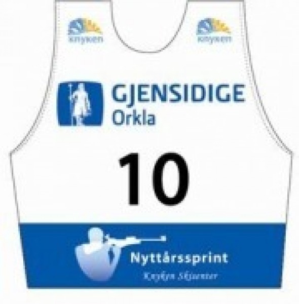gjensidige