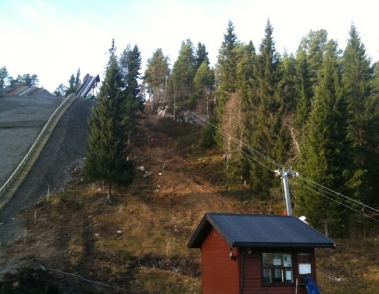 Dugnad_051111_026.jpg