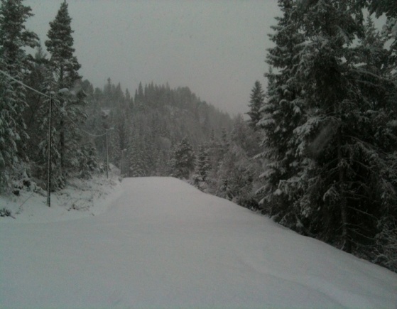 Bilder_2010_2011_475.jpg