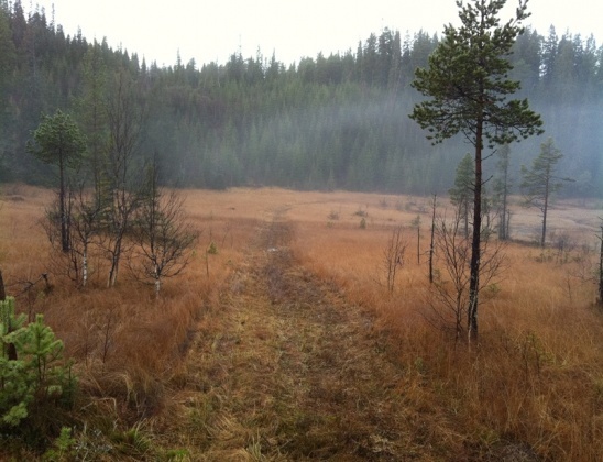 Knykmarka_201111_010.jpg