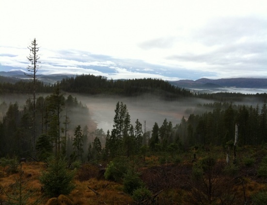Knykmarka_201111_006.jpg