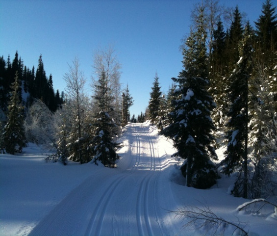 005_Mila_220211_005.jpg