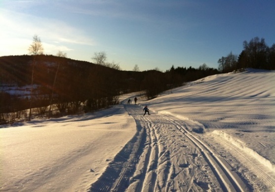 Knyken_220112_007.jpg