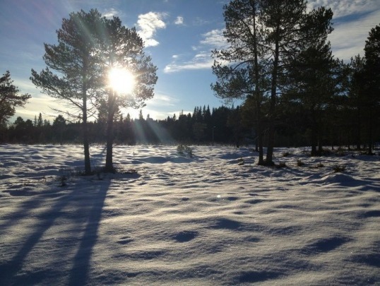 Knyken_041112_010.jpg