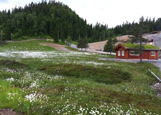 Knyken_300612_014_014.jpg