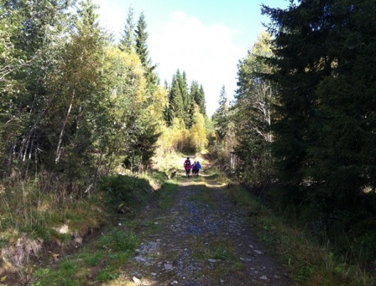 Knykmarka_230912_001.jpg