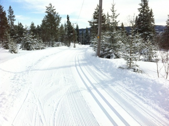 Knyken_020412_01.JPG
