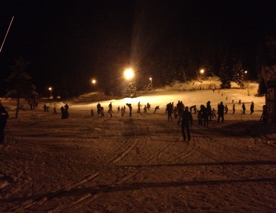 Skileik_300113_01.JPG