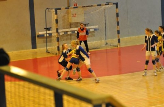 Orkdal_J12_Fr__ya2_170313_03.jpg