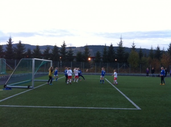 Orkdal J11 Rindal 011013 05