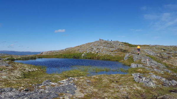 Kjentmannsmerket Kattugla